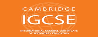 Cambridge IGCSE Online Classes